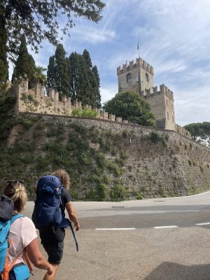 img 0089